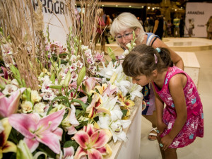 Letos jediná květinová výstava tohoto rozsahu v ČR láká na Zahradu za zdí