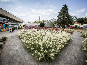 Letos jediná květinová výstava tohoto rozsahu v ČR láká na Zahradu za zdí