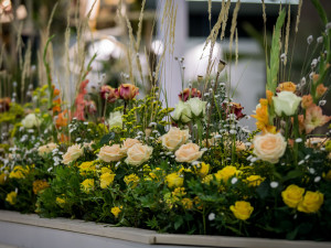 Letos jediná květinová výstava tohoto rozsahu v ČR láká na Zahradu za zdí