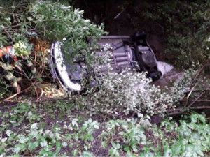 Českem se prohnaly silné bouřky. Hasiči evidují padesát výjezdů