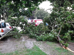 Českem se prohnaly silné bouřky. Hasiči evidují padesát výjezdů