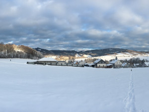 Policie hledá kolegy na oddělení v Jeseníkách. Noví policisté zde mimo jiné získají jistotu bydlení
