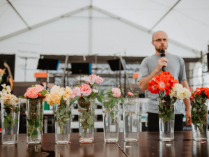 Foto: Letní Flora Olomouc přilákala během čtyř dnů 15 tisíc návštěvníků