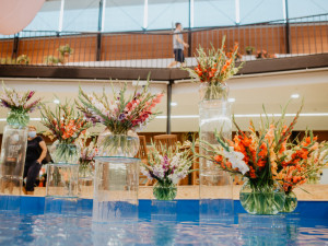 Foto: Letní Flora Olomouc přilákala během čtyř dnů 15 tisíc návštěvníků