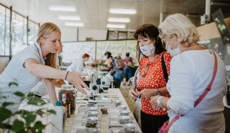 Foto: Letní Flora Olomouc přilákala během čtyř dnů 15 tisíc návštěvníků