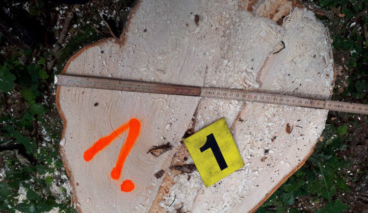 Někdo mu kradl dřevo. Na místo se vypravil s policii a zloděje přistihli při činu