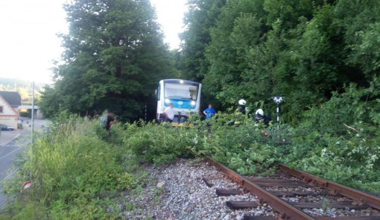 Kvůli silnému větru padaly v Královéhradeckém kraji stromy na silnice i na železnici