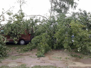 FOTO: Spadené stromy, nehody i bahno v domech. Olomoucký kraj zasáhly silné bouřky