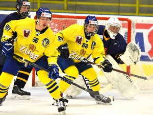 Všichni hráči hokejového týmu Přerov jsou v karanténě, nestihnou tak sobotní start nové sezóny