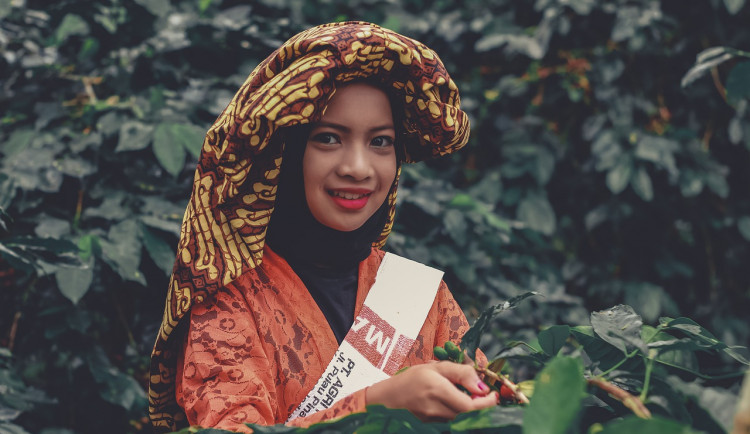 Festival se zaměří také na pěstování kávy. Ilustrační foto.