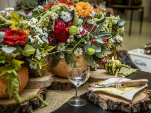 Blíží se podzimní výstava Flora Olomouc. Poukáže na vnitřní krásu rostlin a zdraví plodů