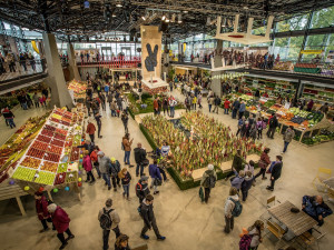 Blíží se podzimní výstava Flora Olomouc. Poukáže na vnitřní krásu rostlin a zdraví plodů