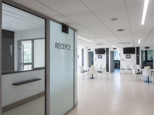 Umění vkusně doplňuje moderní architekturu nové budovy hemato-onkologické kliniky.