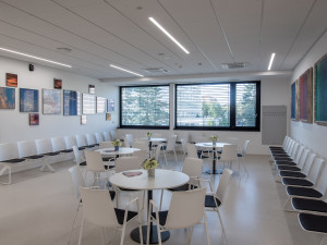 Umění vkusně doplňuje moderní architekturu nové budovy hemato-onkologické kliniky.