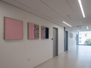 Umění vkusně doplňuje moderní architekturu nové budovy hemato-onkologické kliniky.