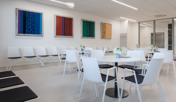 Umění vkusně doplňuje moderní architekturu nové budovy hemato-onkologické kliniky.
