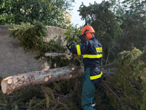 Sobotní silný vítr způsobil i výpadky ve volebních okrscích