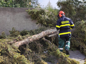 Sobotní silný vítr způsobil i výpadky ve volebních okrscích