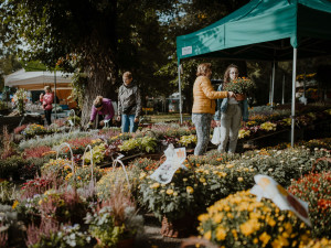 FOTO: Čtyřdenní podzimní Flora Olomouc zaznamenala poloviční návštěvnost.