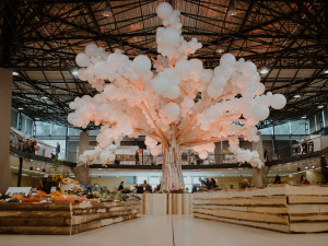 FOTO: Čtyřdenní podzimní Flora Olomouc zaznamenala poloviční návštěvnost.
