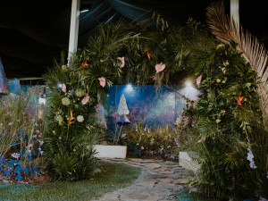 FOTO: Čtyřdenní podzimní Flora Olomouc zaznamenala poloviční návštěvnost.