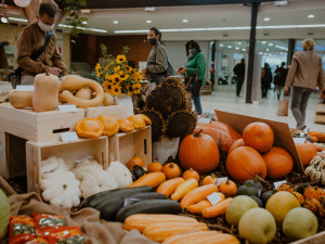 FOTO: Čtyřdenní podzimní Flora Olomouc zaznamenala poloviční návštěvnost.