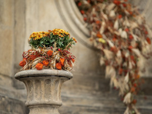 V Olomouci rozkvetly památky. Podívejte se, jak jim to sluší v podzimních barvách