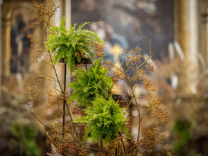 V Olomouci rozkvetly památky. Podívejte se, jak jim to sluší v podzimních barvách