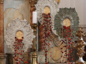 V Olomouci rozkvetly památky. Podívejte se, jak jim to sluší v podzimních barvách