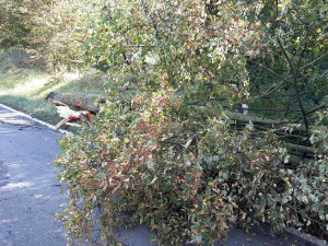 AKTUÁLNĚ: Jedna osoba se zranila při nehodě u Hněvotína, na místě zasahují hasiči
