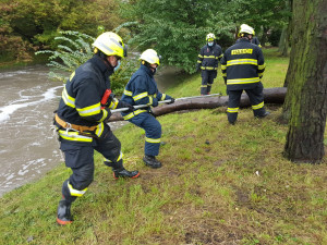 Kromě čerpání vody museli hasiči odstranit naplaveniny a popadané stromy.