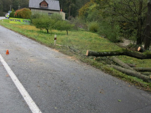 Během jízdy spadl řidiči na kapotu auta spadl strom