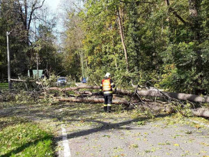 Likvidace následků větru