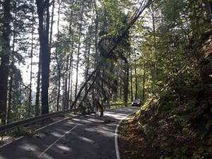 FOTO: Hasiči likvidovali následky silného větru na Jesenicku