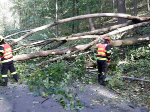Likvidace následků větru