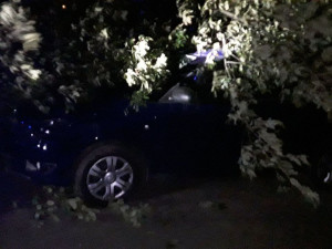 Likvidace následků větru