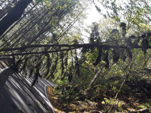 Likvidace následků větru