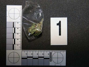 FOTO: Policisté opět našli pervitin a marihuanu u stejného muže. Zatím je na svobodě