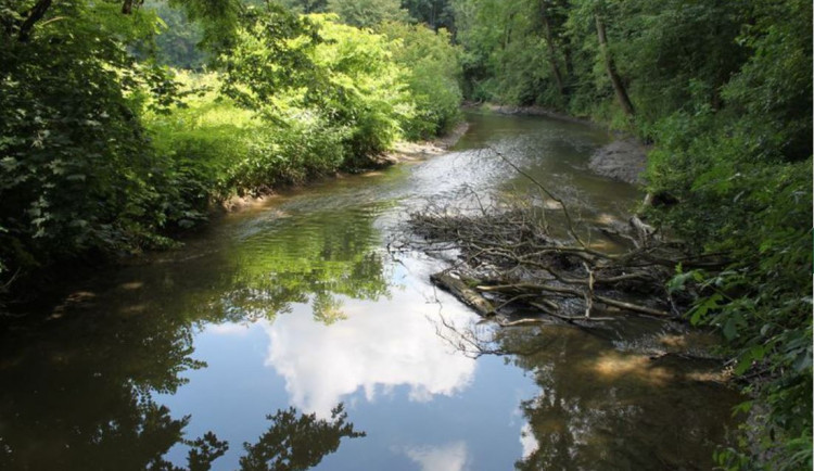 Bahenka v CHKO Litovelské Pomoraví 