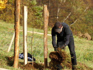 Jeseničtí obyvatelé vysadili ovocný sad, sloužit má mimo jiné ke vzdělávání dětí