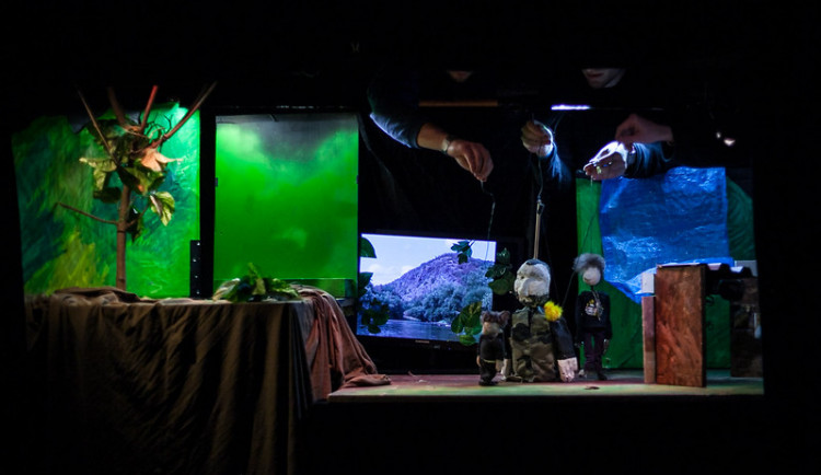 49219338922_3cedce7e2c_c