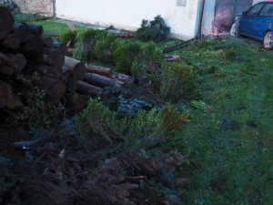 Dopravní nehoda Šumperk