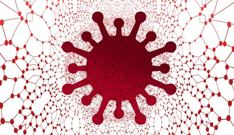 Vláda spustila informační web o koronaviru