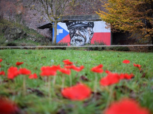 V Bezručových sadech vyrostlo makové pole, které připomíná válečné veterány. Součástí je i veřejná sbírka