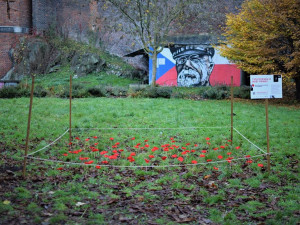 V Bezručových sadech vyrostlo makové pole, které připomíná válečné veterány. Součástí je i veřejná sbírka