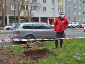 Výsadba stromů Masarykova ulice Olomouc