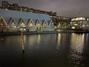 FOTO: Z Olomouce do Švédska. Nebyli pandemii utrápeni. My nejsme tak pozitivní, říká Tótová