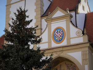 FOTO/VIDEO: Na olomouckém Horním náměstí již stojí vánoční stromeček. Jak se vám líbí?