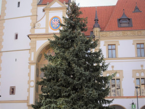 FOTO/VIDEO: Na olomouckém Horním náměstí již stojí vánoční stromeček. Jak se vám líbí?