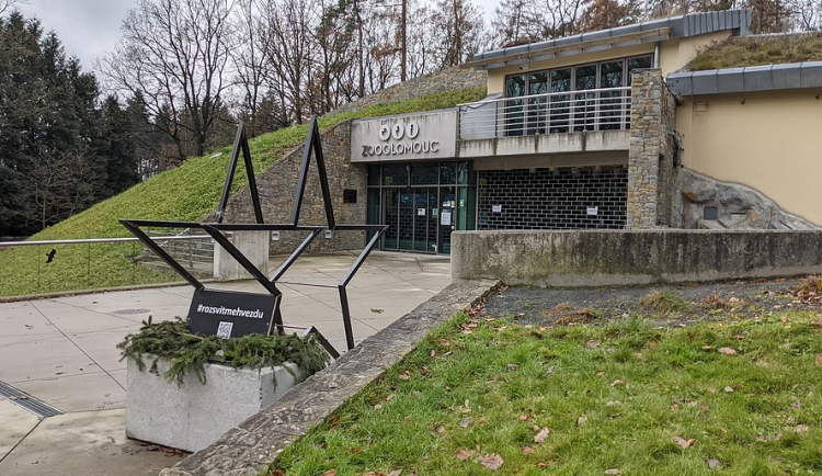 Hvězda Přátelství